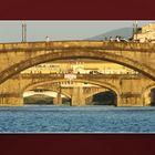 PESCAIA DI SANTA ROSA - ARNO, PONTE A SANTA TRINITA, PONTE ALLA CARRAIA, PONTE VECHIO