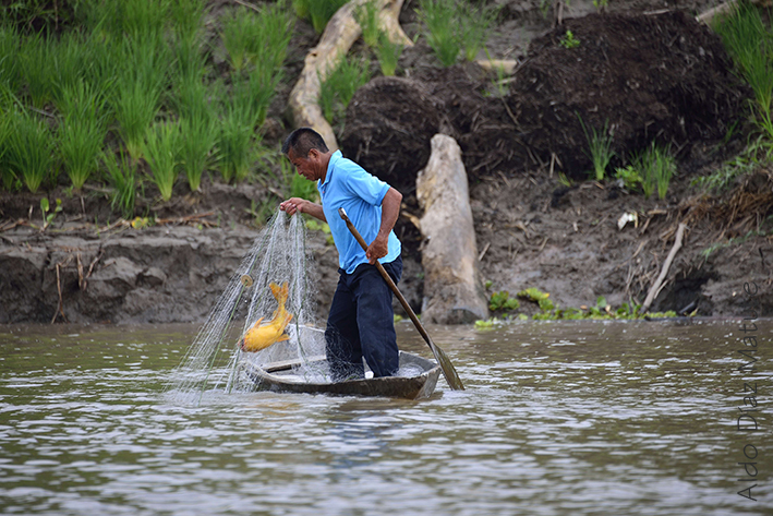 Pescando