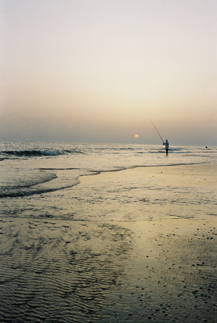 Pescando al sol