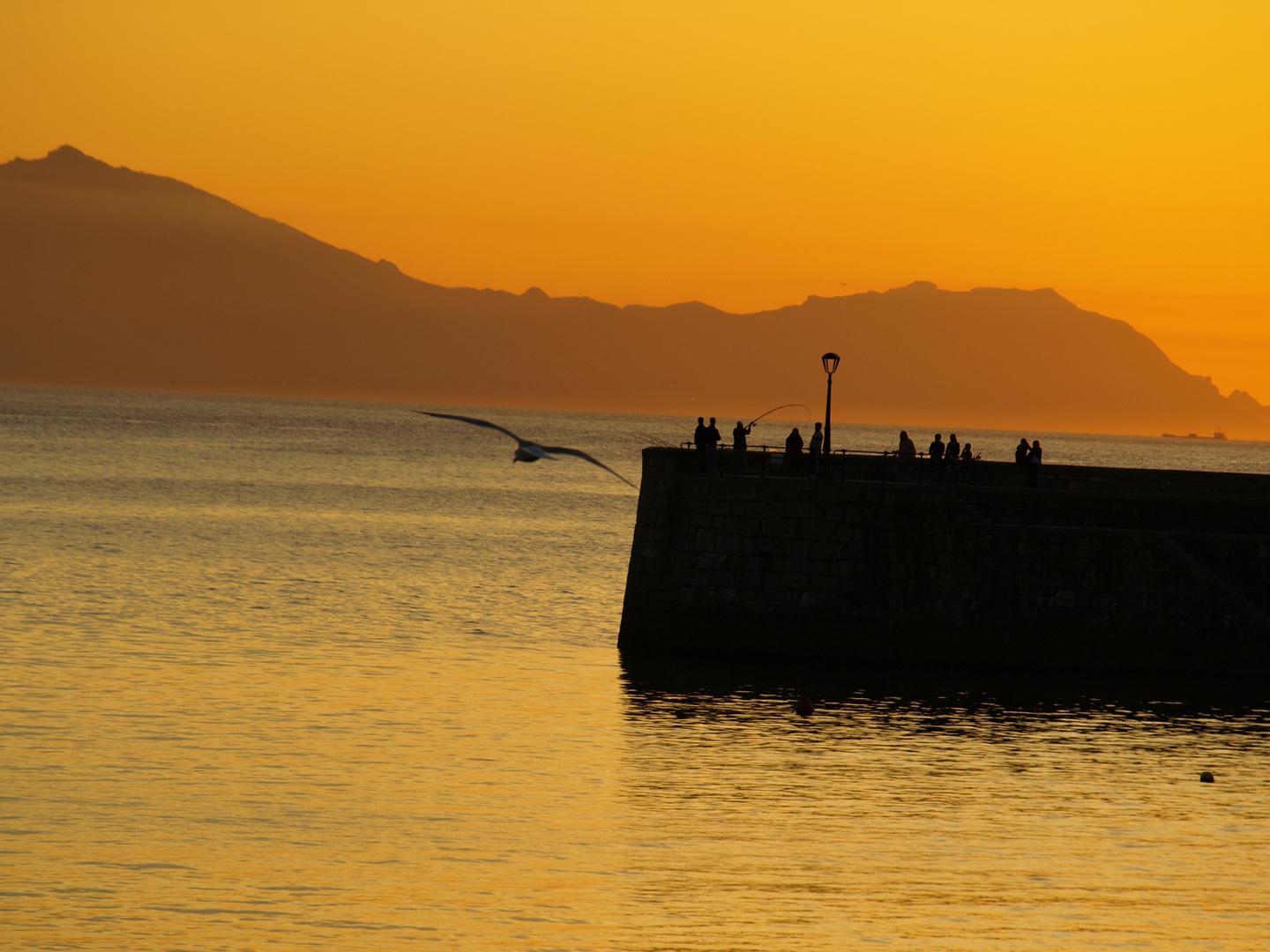 Pescando en el ocaso