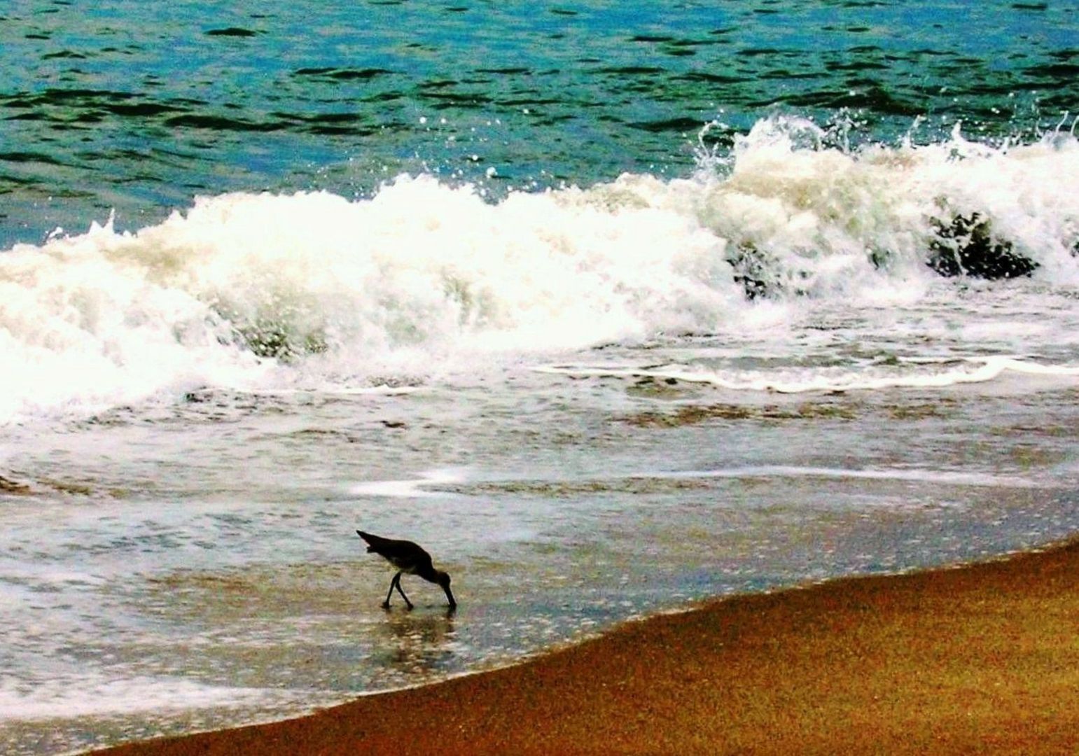 Pescando en el Pacífico (Panamá)