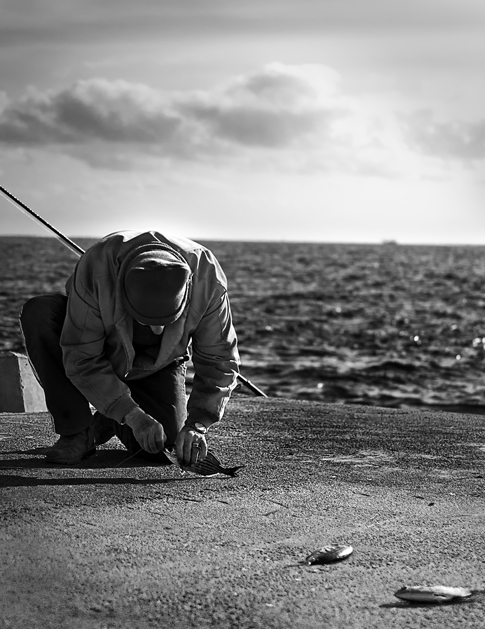 Pescando la cena