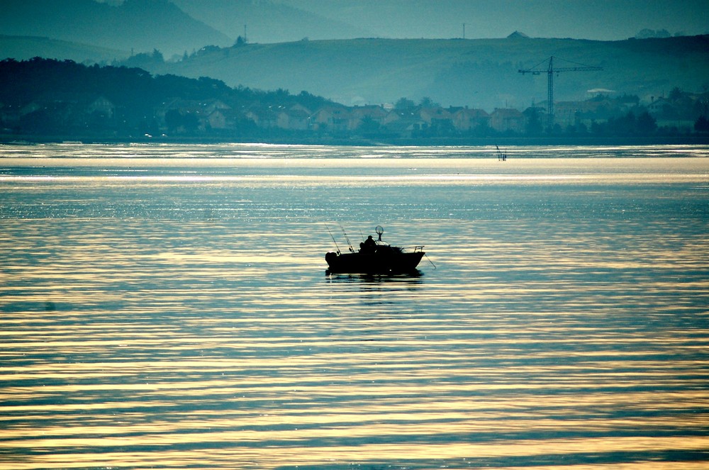 PESCANDO POR LA BAHÍA