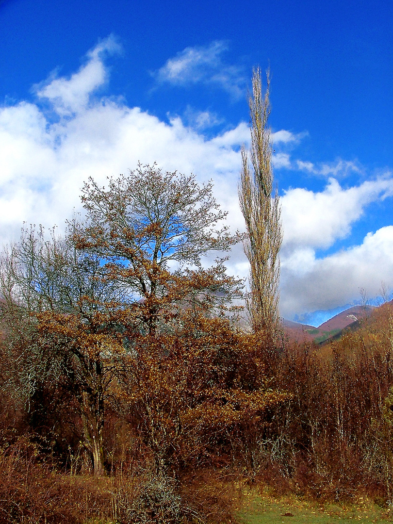 Pescasseroli autunno nel Parco 1