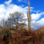 Pescasseroli autunno nel Parco 1