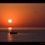 Pescatore all'alba.