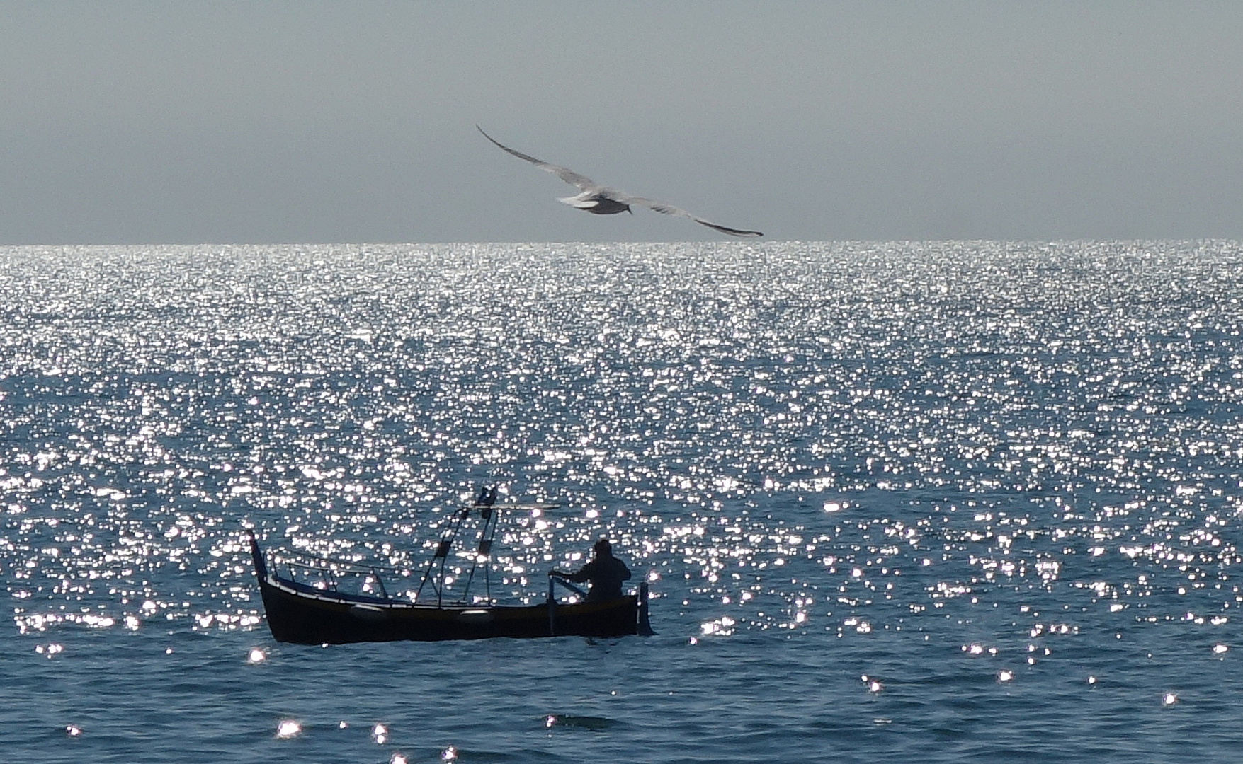 pescatore con gabbiano