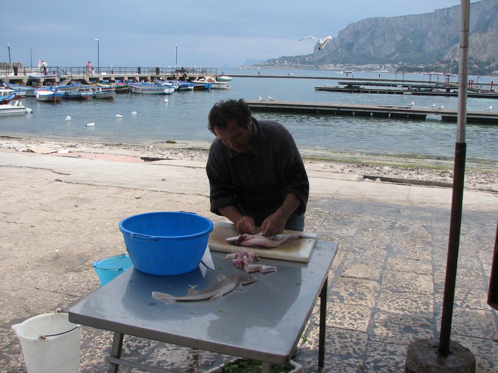 Pescatore e....pescato