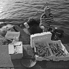 Pescatore  Fisherman