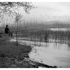 Pescatore, lago di Varese