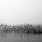 Pescatore nella nebbia