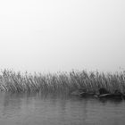 Pescatore nella nebbia