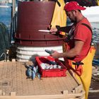 " Pescatore pulisce il pesce appena pescato "