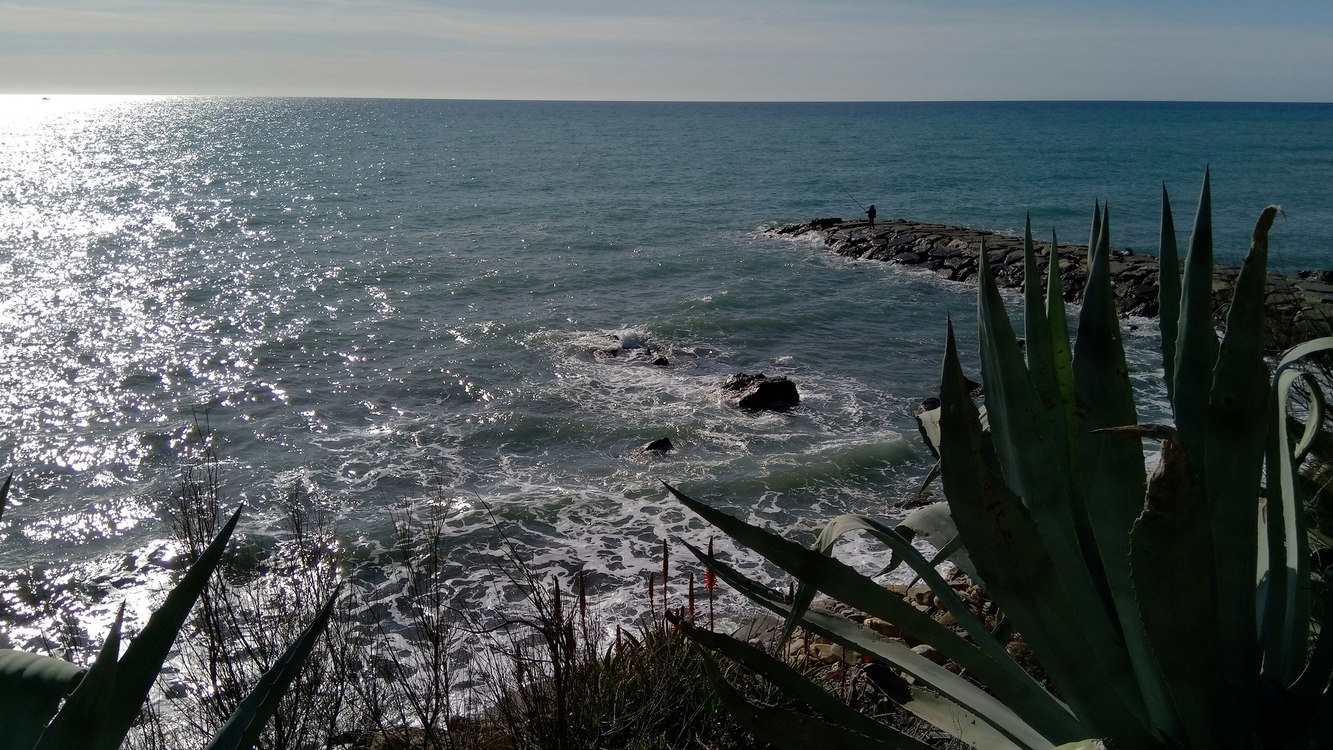 pescatore solitario