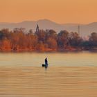 pescatore sul Po al tramonto