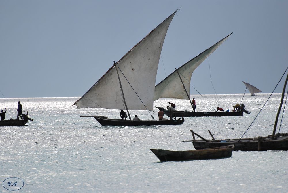 Pescatori a Nungwi-Fishermen in Nungwi