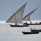 Pescatori a Nungwi-Fishermen in Nungwi