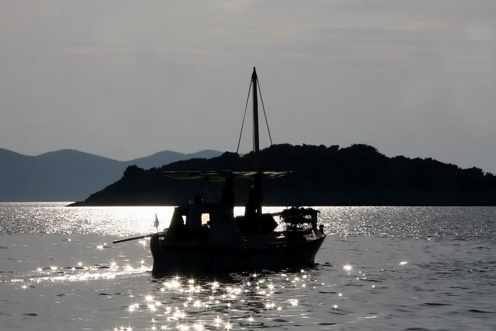 Pescatori di ... Asterischi