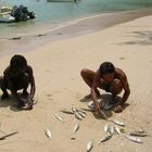 Pescatori preparano le esche per il BIG GAME
