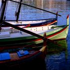 Pescherecci a Collioure