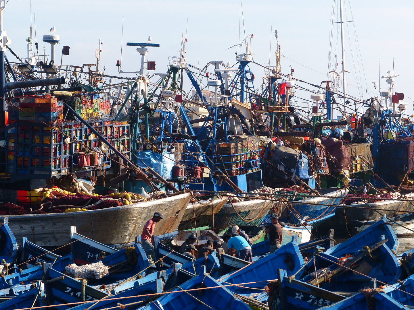 pescherecci e pescatori