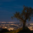 Pescia bei Nacht