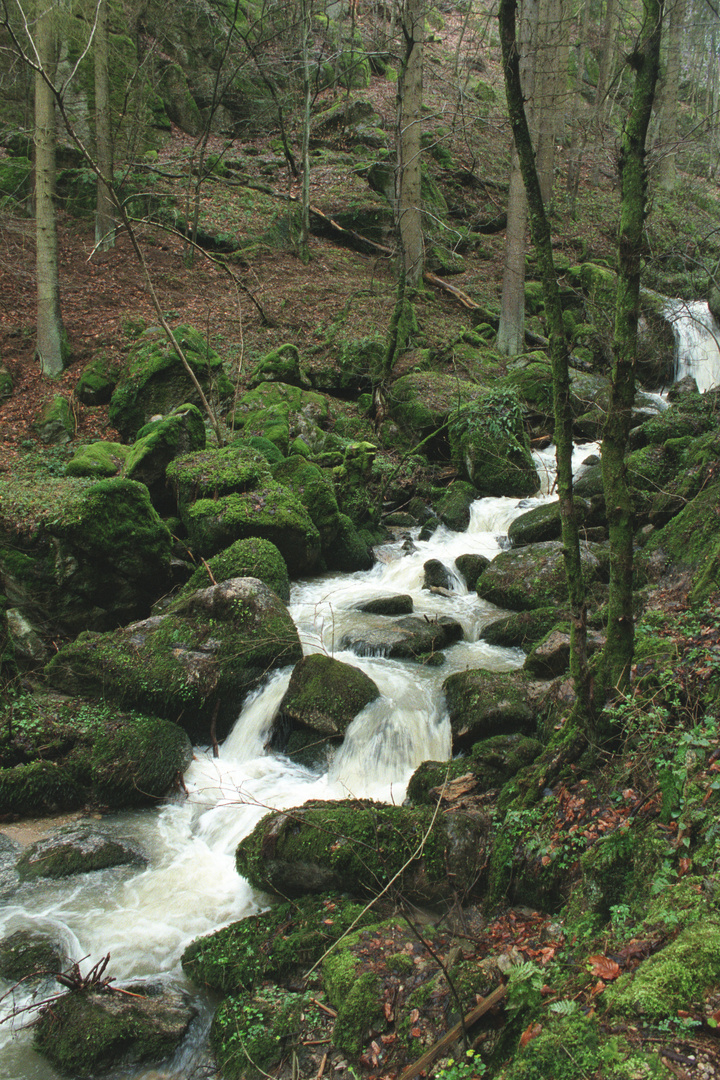 Pesenbachtal bei Bad Mühllacken