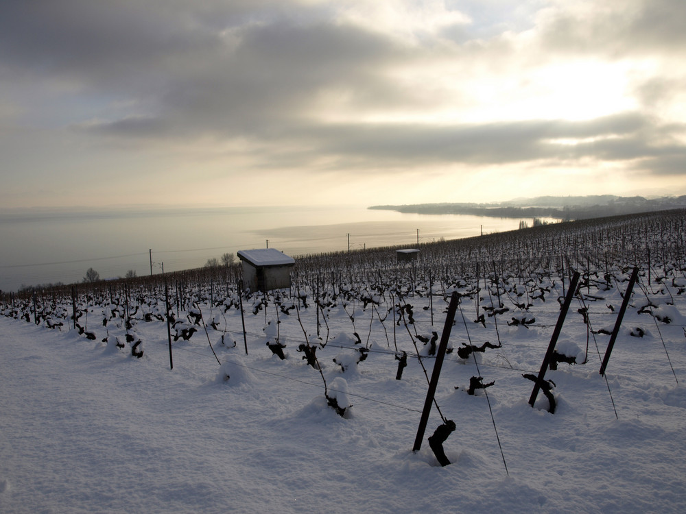 Peseux, la neige et le lac