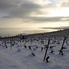 Peseux, la neige et le lac