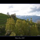 Pestera - Bran Romania (vicino al famoso castello)