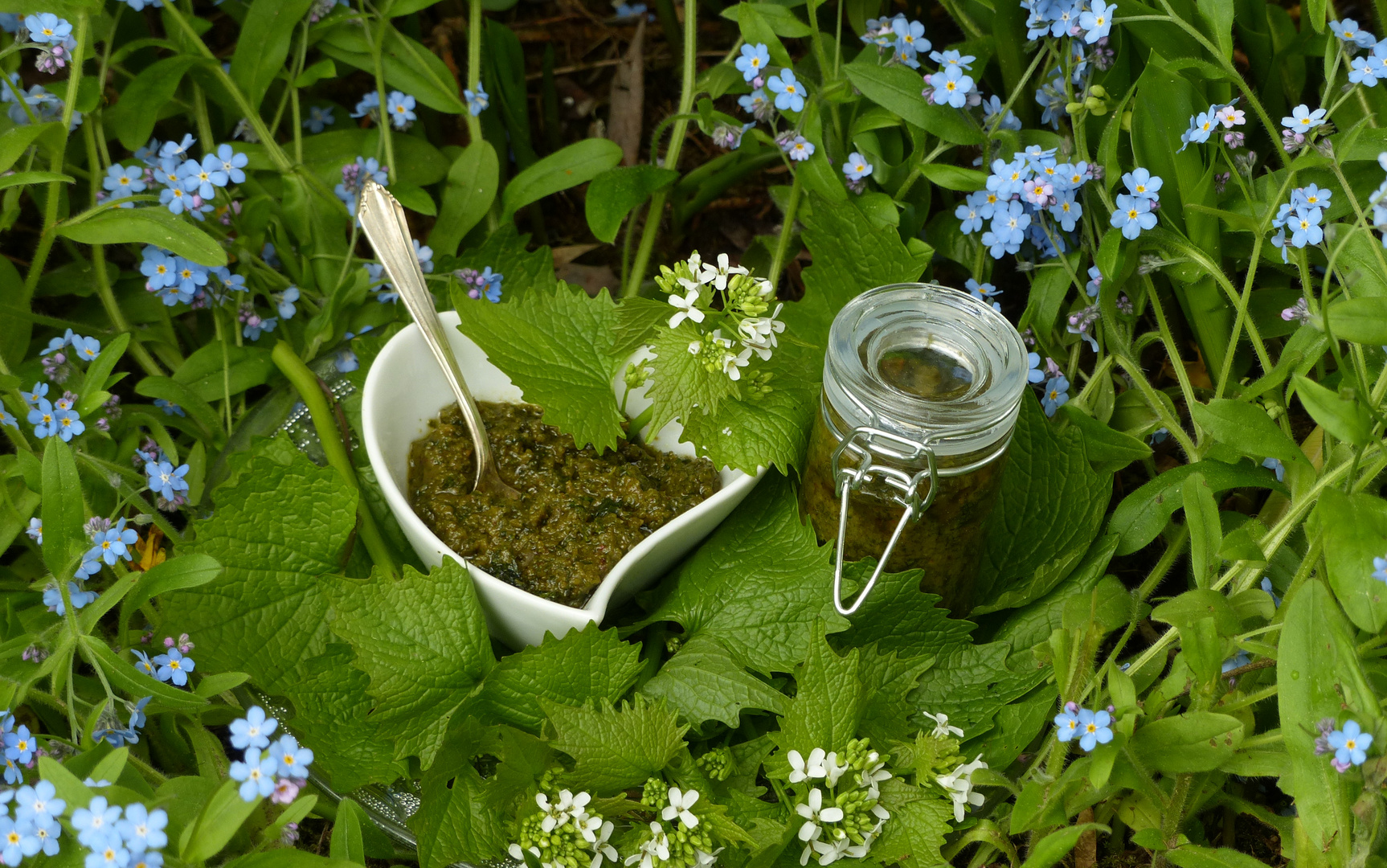 °°°° Pesto von der Knoblauchsrauke°°°°