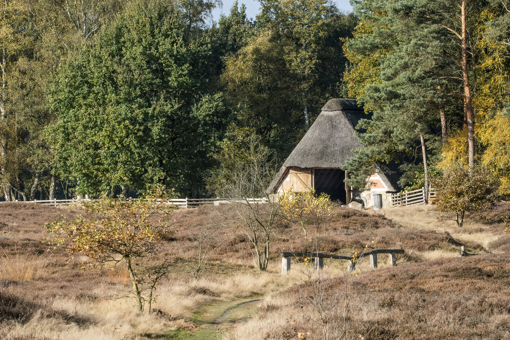 Pestruper Gräberfeld