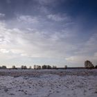 Pestruper Gräberfeld im Schnee