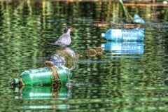 Danube Delta