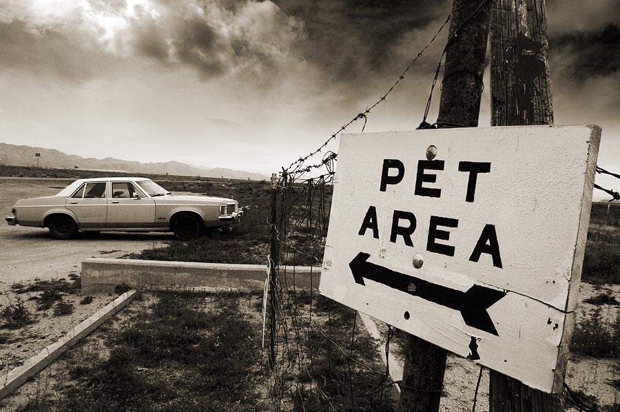 pet area