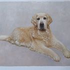 Pet Portrait Painting from Photo