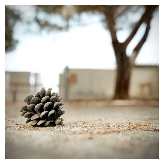 Pétanque