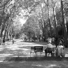 Petanque Spiel an einem Spätsommernachmittag in Paris