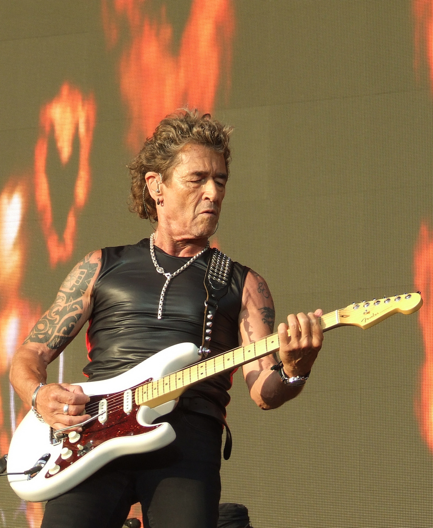 Peter Maffay Bild: A Masterful Capture of Musical Legacy