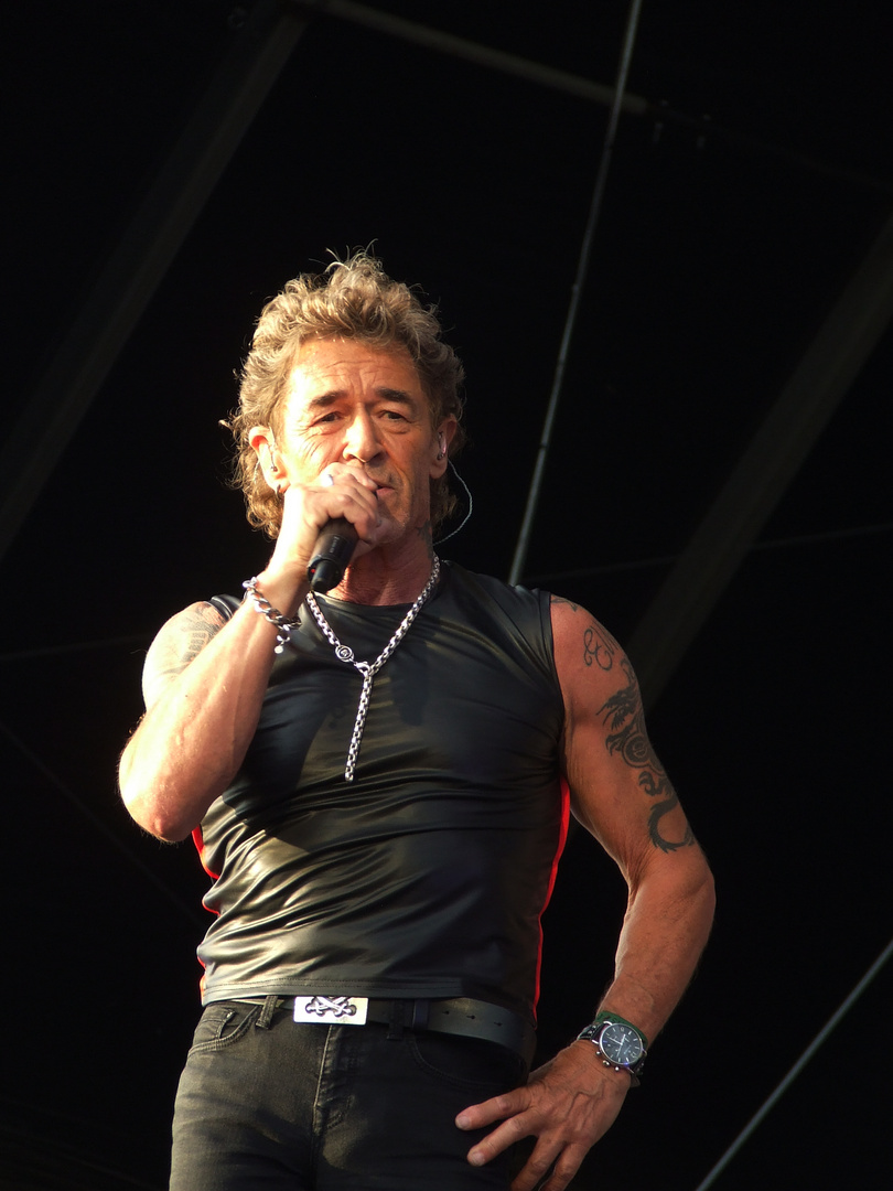 Peter Maffay Portrait 6