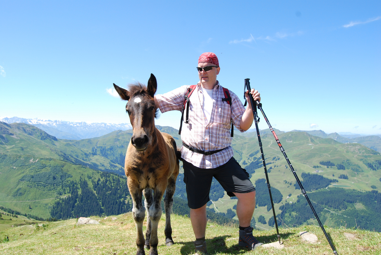 Peter mit Fohlen