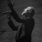 Peter Murphy