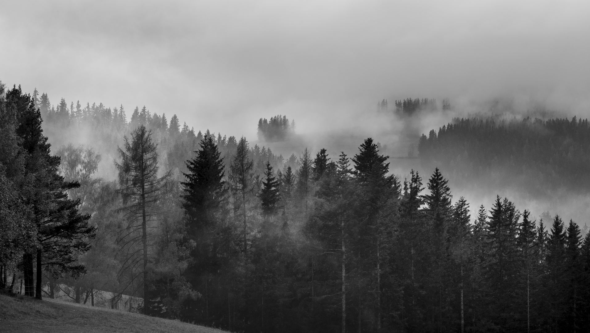 Peter Roseggers Waldheimat