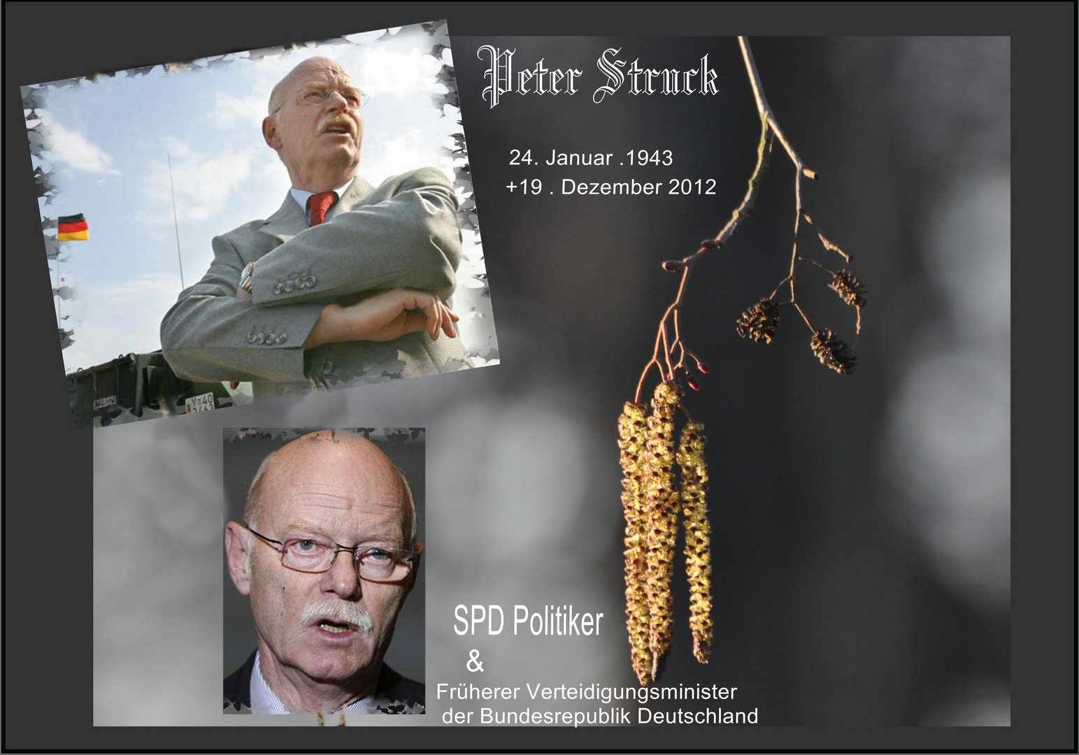 Peter Struck