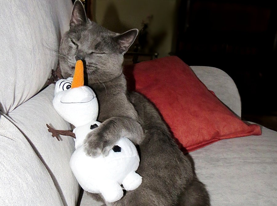 Peter und Olaf