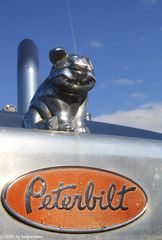 Peterbilt - Firmenlogo