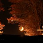 Peterchens Mondfahrt, Mond Gang und Mond Fahrradfahrt II