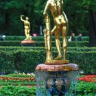 Peterhof 3