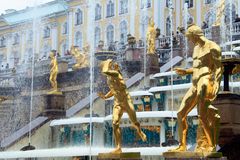 Peterhof 7