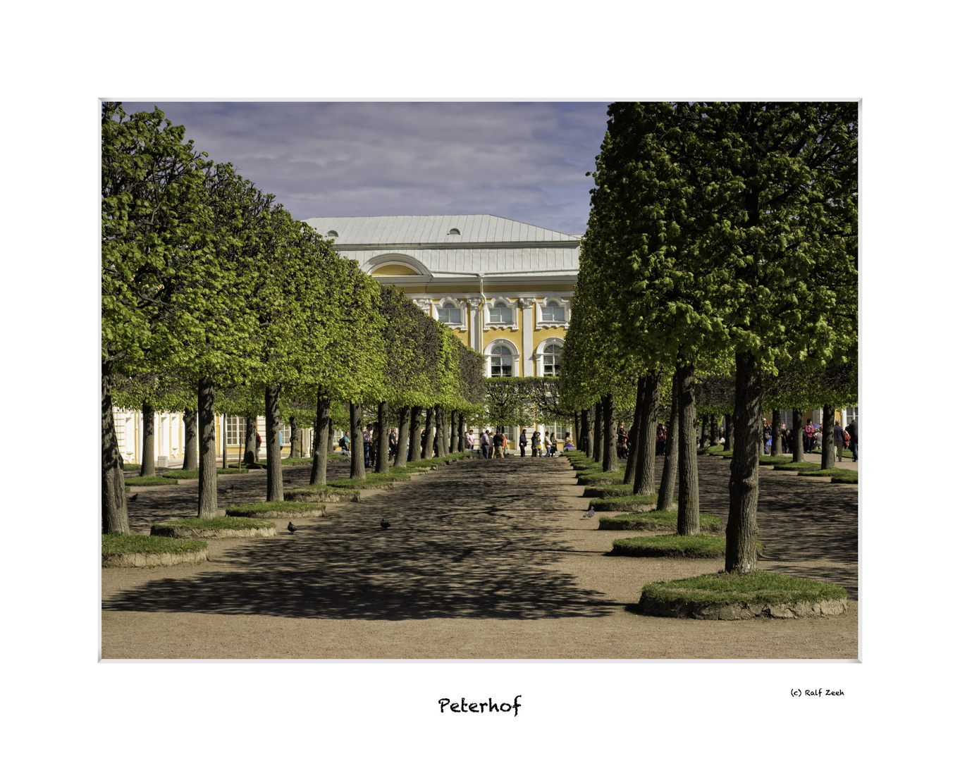 Peterhof no.15